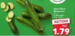 Kaufland Span./dtsch. minigurken kl. i Angebot