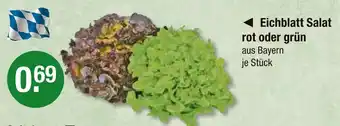 V Markt Eichblatt salat rot Angebot