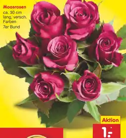 Netto Marken-Discount Moosrosen Angebot