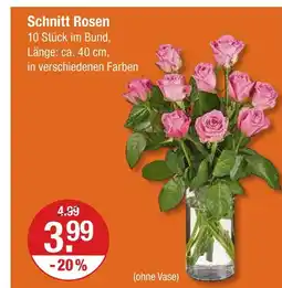 V Markt Schnitt rosen Angebot