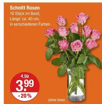 V Markt Schnitt rosen Angebot