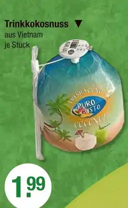V Markt Puro gusto trinkkokosnuss Angebot