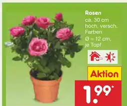 Netto Marken-Discount Rosen Angebot