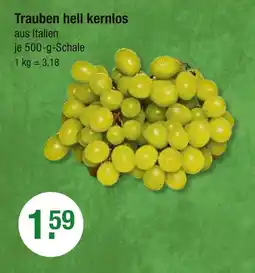V Markt Trauben hell kernlos Angebot