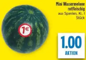 diska Mini Wassermelone rotfleischig Angebot