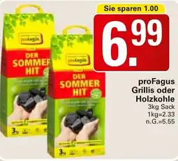 WEZ proFagus Grillis oder Holzkohle Angebot
