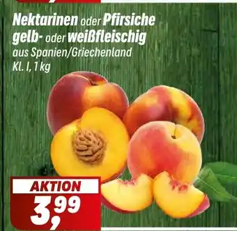 Simmel Nektarinen oder Pfirsiche gelb-oder Angebot