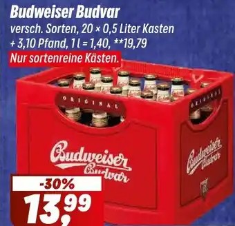 Simmel Budweiser Budvar Angebot