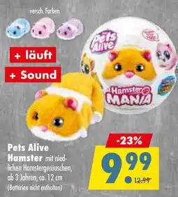 Mäc Geiz Pets Alive Hamster Angebot