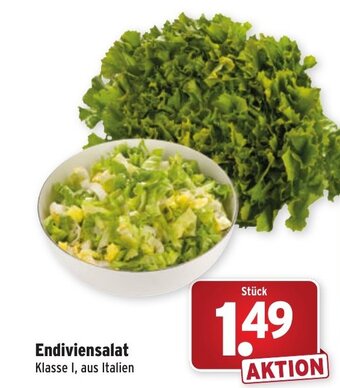 Wasgau Endiviensalat Angebot