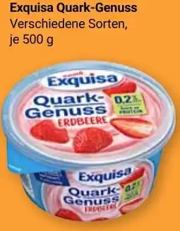 Globus Exquisa Quark-Genuss Angebot