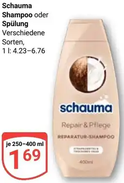 Globus Schauma Shampoo oder Spülung Angebot