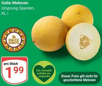 Globus Galia-Melonen Angebot