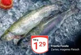 Globus Frische Forelle Angebot