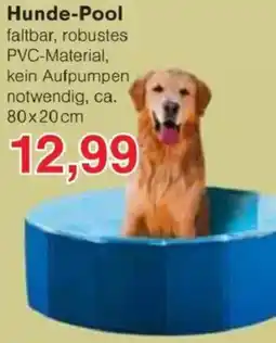 Jawoll Hunde-Pool Angebot