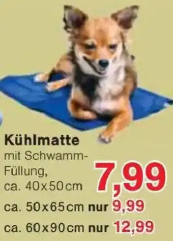 Jawoll Kühlmatte Angebot