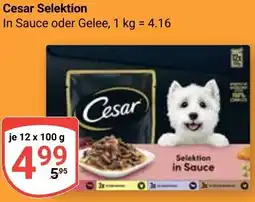 Globus Cesar Selektion Angebot