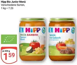 Globus Hipp Bio Junior Menü Angebot