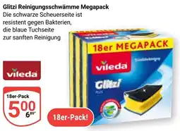 Globus Glitzi Reinigungsschwämme Megapack Angebot