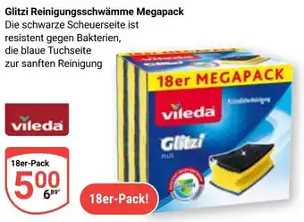 Globus Glitzi Reinigungsschwämme Megapack Angebot