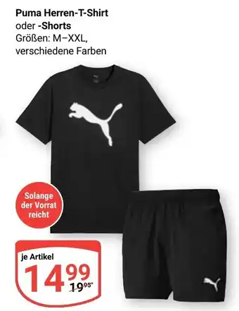 Globus Puma Herren-T-Shirt oder -Shorts Angebot