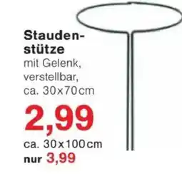 Jawoll Staudenstütze Angebot