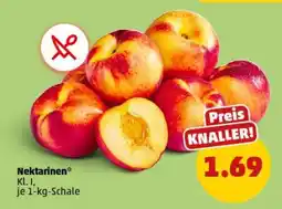 PENNY Nektarinen Angebot
