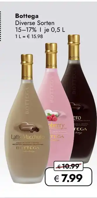 Travel Free Bottega Angebot