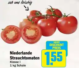 AEZ Niederlande Strauchtomaten Angebot