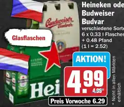 AEZ Heineken oder Budweiser Budvar Angebot