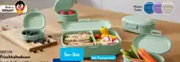Aldi Süd Crofton Frischhaltedosen-Set Angebot