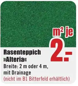 B1 Discount Baumarkt Rasenteppich >>Alteria<< Angebot