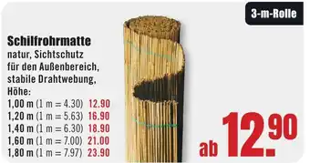 B1 Discount Baumarkt Schilfrohrmatte Angebot