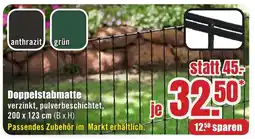 B1 Discount Baumarkt Doppelstabmatte Angebot