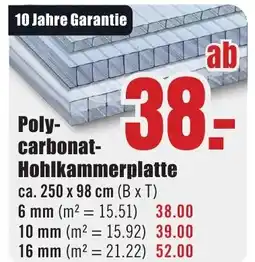 B1 Discount Baumarkt Polycarbonat- Hohlkammerplatte Angebot