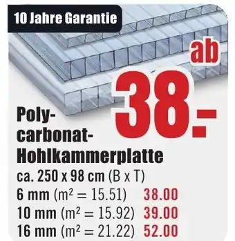 B1 Discount Baumarkt Polycarbonat- Hohlkammerplatte Angebot