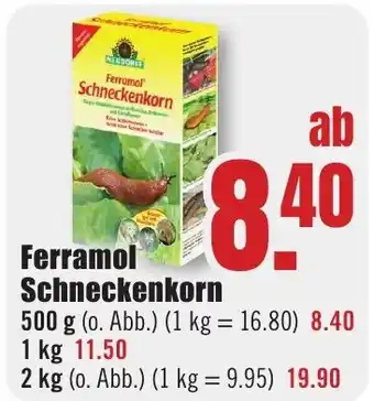 B1 Discount Baumarkt Ferramol Schneckenkorn Angebot