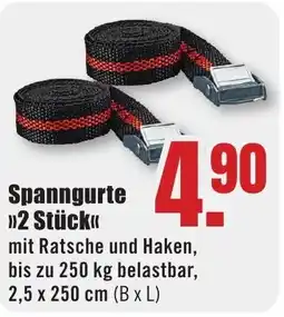 B1 Discount Baumarkt Spanngurte Angebot