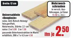 B1 Discount Baumarkt Universaldiele >>Douglasie<< Angebot