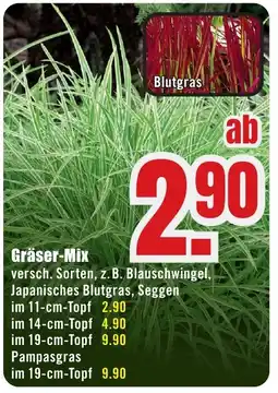 B1 Discount Baumarkt Gräser-Mix Angebot