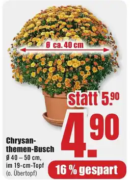 B1 Discount Baumarkt Chrysanthemen-Busch Angebot