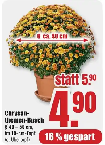 B1 Discount Baumarkt Chrysanthemen-Busch Angebot