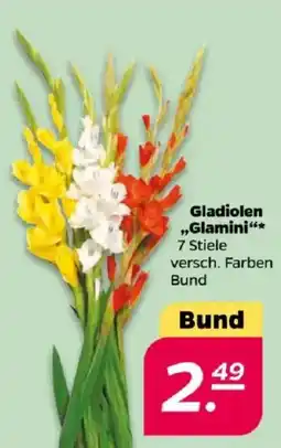 NETTO Gladiolen „Glamini" Angebot