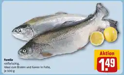 REWE Forelle Angebot