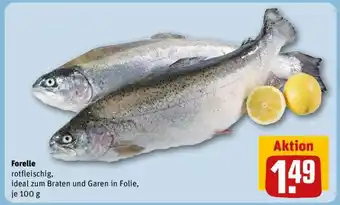 REWE Forelle Angebot
