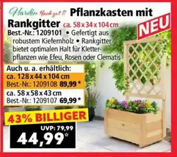 Norma Pflanzkasten mit Rankgitter ca. 58 x 34 x 104 cm Angebot