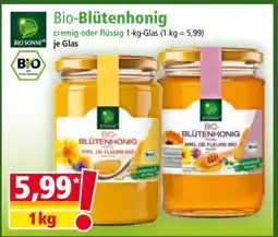 Norma Bio Blütenhonig Angebot