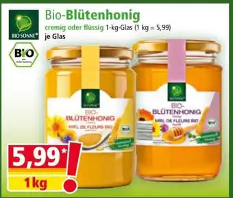 Norma Bio Blütenhonig Angebot