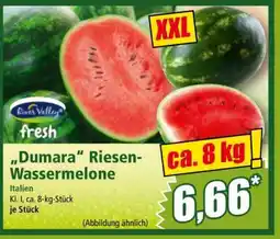 Norma Dumara Riesen-Wassermelone Angebot
