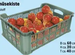 Thomas Philipps Obst-Gemüsekiste Angebot